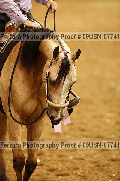 Proof 09usn-07741
