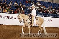 09usn-07773 proof