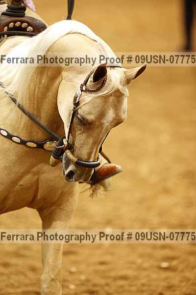 Proof 09usn-07775