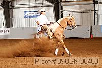 09usn-08463 proof