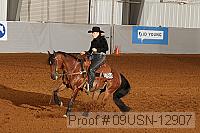 09usn-12907 proof