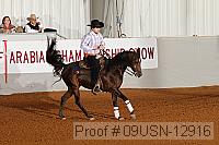 09usn-12916 proof