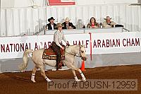 09usn-12959 proof