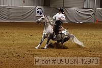 09usn-12973 proof