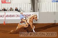 09usn-20383 proof