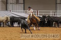 09usn-01435 proof