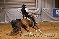 09usn-02381 proof
