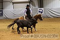 09usn-02384 proof