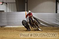 09usn-02390 proof