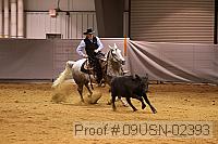 09usn-02393 proof