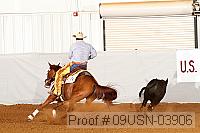 09usn-03906 proof