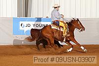 09usn-03907 proof