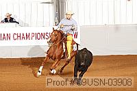 09usn-03908 proof