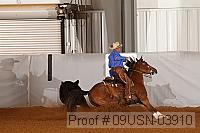 09usn-03910 proof