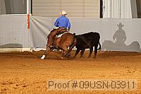 09usn-03911 proof