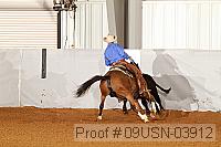 09usn-03912 proof
