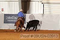 09usn-03913 proof