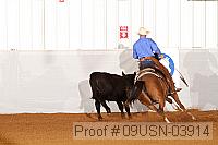 09usn-03914 proof