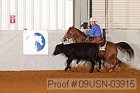09usn-03915 proof