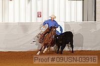 09usn-03916 proof