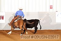 09usn-03917 proof