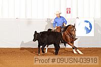 09usn-03918 proof