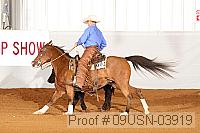 09usn-03919 proof