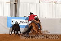 09usn-03920 proof