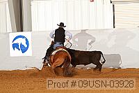 09usn-03928 proof