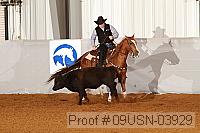 09usn-03929 proof