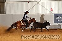 09usn-03930 proof