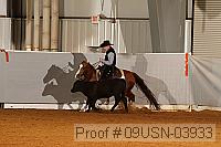 09usn-03933 proof