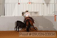 09usn-03934 proof