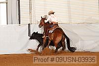 09usn-03935 proof