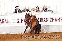 09usn-03936 proof