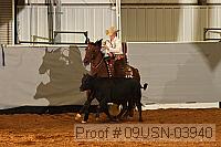 09usn-03940 proof