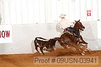 09usn-03941 proof