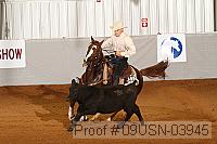 09usn-03945 proof