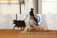 09usn-03948 proof
