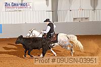 09usn-03951 proof