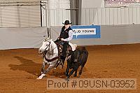 09usn-03952 proof