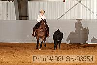 09usn-03954 proof
