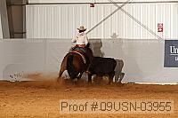 09usn-03955 proof
