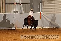 09usn-03957 proof