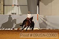 09usn-03960 proof