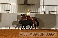 09usn-03961 proof