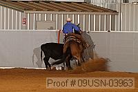 09usn-03963 proof