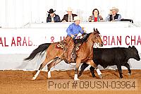 09usn-03964 proof