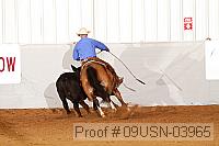 09usn-03965 proof