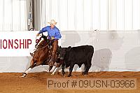 09usn-03966 proof